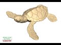 Baby sea turtles 3d printable models single one by sculptor101