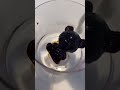 【SHINE】くま　氷　コーヒー　アイスラテICE LATTEE