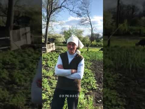 Відеовідгук Профіль-М