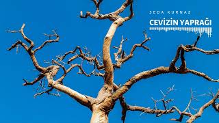 Seda Kurnaz - Cevizin Yaprağı (Official Audio)