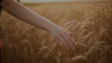 Thumbnail of Deep Forest -  Sweet Lullaby (Remix)