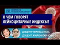 Доцент Черныш Н.Ю., доцент Жиленкова Ю.И.: О чем говорят лейкоцитарные индексы?