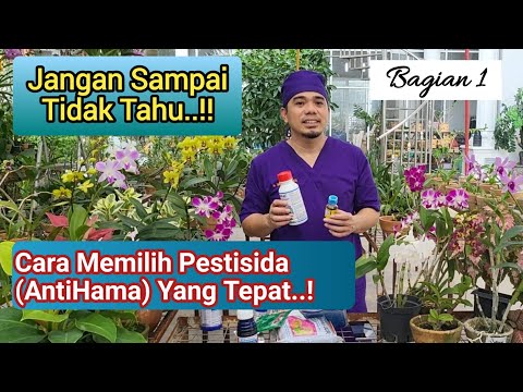 Video: Pilihan Tanaman Sehat - Tanda Tanaman Sehat Sebelum Membeli