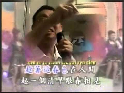 春風吻上我的臉正wmv