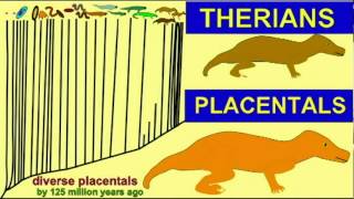 PL1: INCREASING COMPLEXITY: GENE DUPLICATIONS & ALTERNATE SPLICING