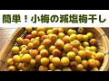 【梅干し】小梅の減塩梅干し/小梅を塩分10%で漬ける/簡単!一晩で梅酢があがる