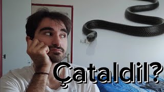 Salman Holding Milasta / Hoş Geldin Karşılaması