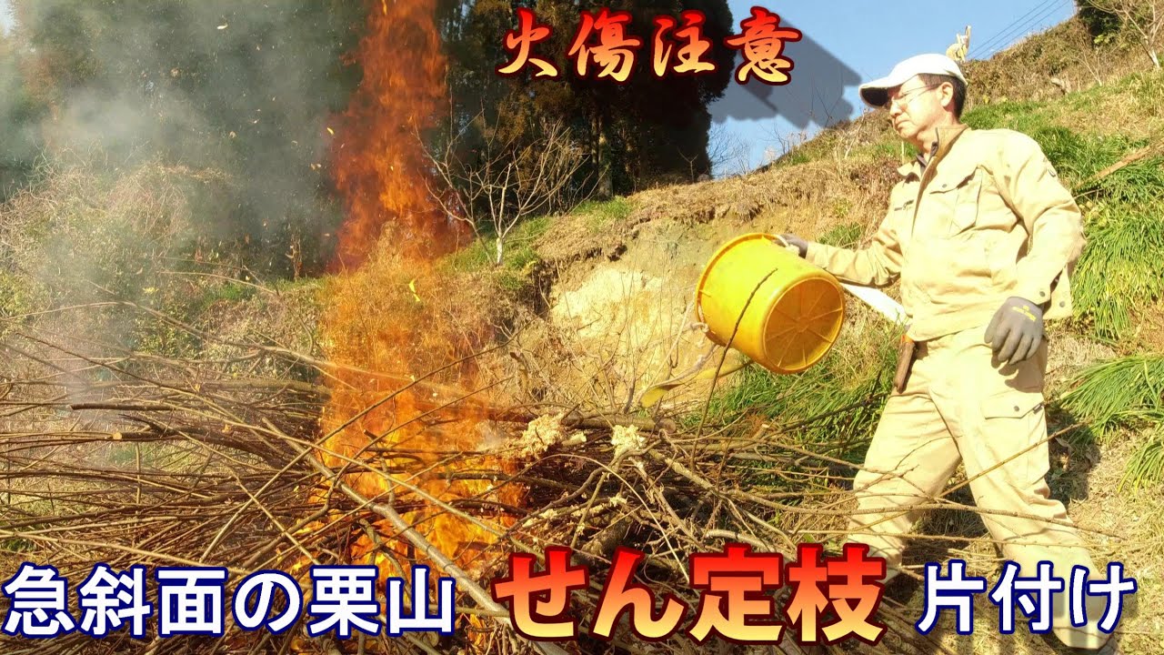 栗枝の焼却処分 火傷注意 急斜面の栗山で 剪定枝の片付け Youtube