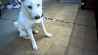 20100904.mp4