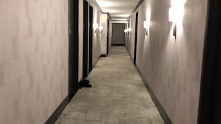 111 W 67th St Apt 27B Virtual Tour
