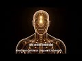meridians connect organs&nerves transmit info