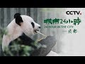 《城市24小时》 第四集 成都 | CCTV纪录