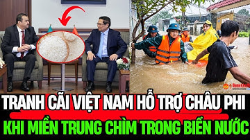 Bão Lũ Miền Trung: Sự Thật Về Chuyến Công Du Của Thủ Tướng Và Những Lời Xuyên Tạc  Vấn Đề Hàng Ngày