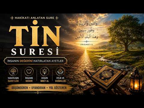 Tin Suresi Dinle | Kalbe Huzur Veren Etkileyici Kur'an Tilaveti | Kuran Dinle