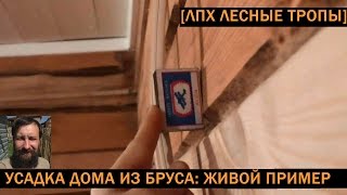 видео Усадка дома