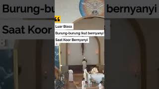 Luar Biasa....Burung~burung Ikut Bernyanyi Saat Koor Misa.... #misa #koorkatolik #lagurohanikatolik