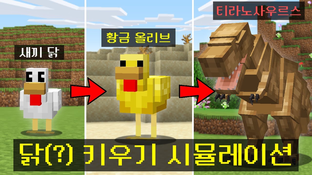마인크래프트, 닭(?) 키우기 시뮬레이션 켠왕하기
