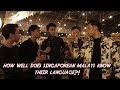 How Well Do Singaporean Malays Know Their Language?