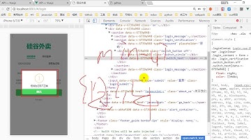 【硅谷外卖】34 尚硅谷 Vue项目 登陆界面效果5 前台表达验证