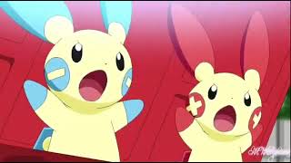 MWSylveon Plusle and Minun dancing with cuteness overload AMV   Stay Archive Of AMVs