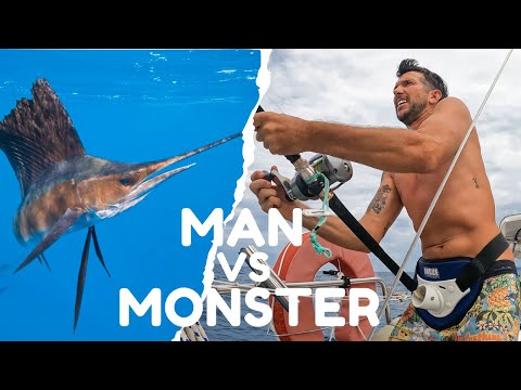 FISH ON!!! Catching a SAILFISH from a Sailboat... Ep 285