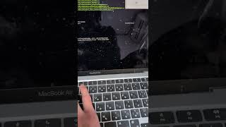 PHPっぽい言語でRaspberry Pi Pico W2を動かした【Lチカ】