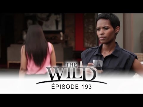 The Wild - épisode 193 - Complet en français - HD 1080