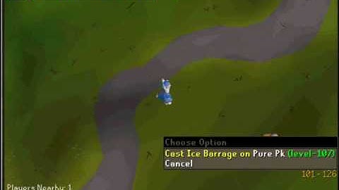 G6Scape Pking Sample! + Webclient 317 Rsps