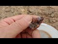 Rock hunters, a informative video of finding fire agate in the Arizona desert.