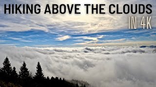 Hiking ABOVE the Clouds (in 4K) by My Grace Filled Journey 112 views 1 year ago 4 minutes, 25 seconds