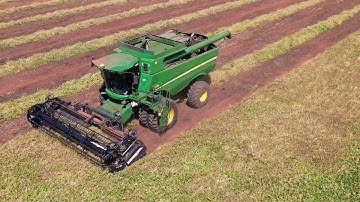 Winflex CW 20: Produtividade Máxima no Corte e Enleiramento de Feijão MIAC