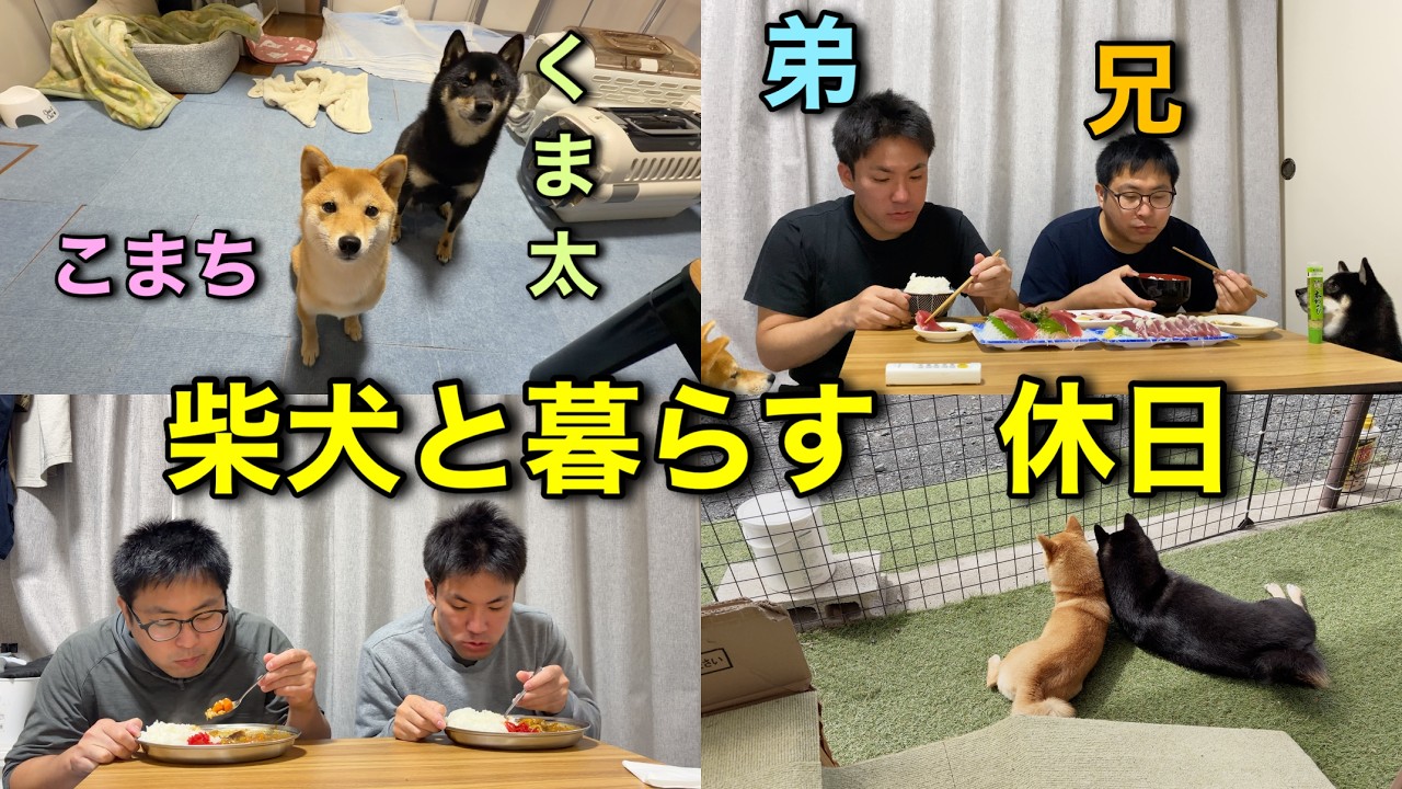 柴犬と暮らす 男兄弟 とある休日の様子 - YouTube