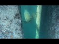 Spearfishing with Slingin Steel in Bahia Honda in the Florida Keys