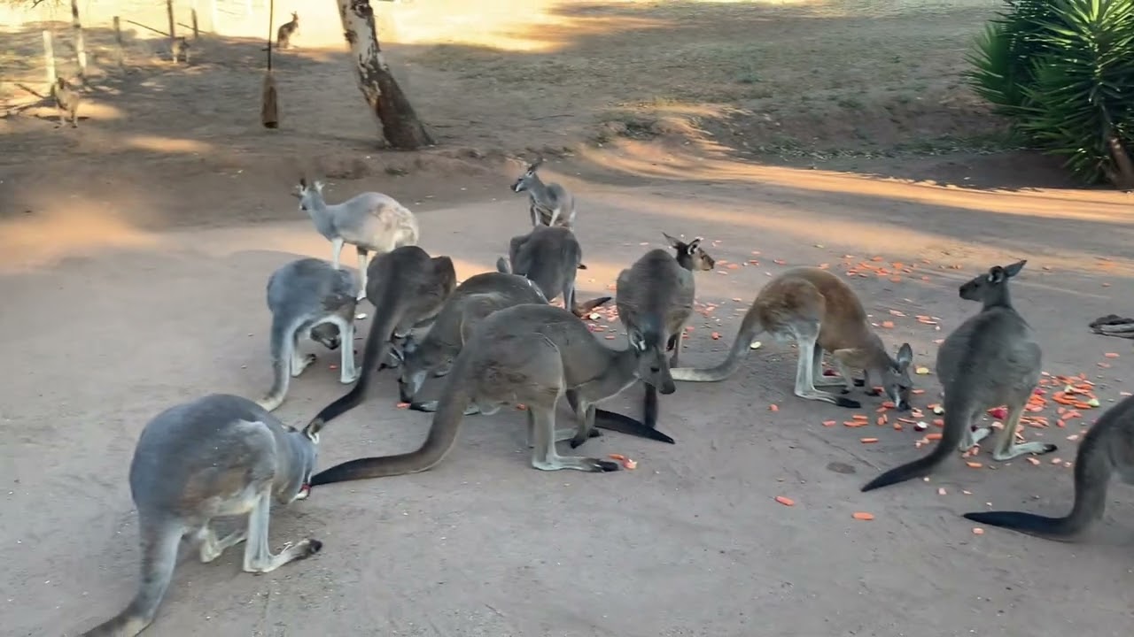 Easter Treats for the Mob… Happy Easter to you all 