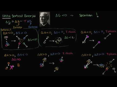 Gibbs Serbest Enerjisi ve İstemli Tepkimeler (Biyoloji / Enerji ve Enzimler)