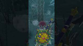 Here’s where to find the Climbing Boots (Secret of the Cedars Quest - Zelda BOTW) #zelda