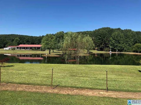 6356 CO RD 35, Bremen, AL home video tour