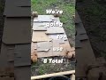 CHEAP! How to Build a Raised Garden Bed! 2023😎🙀