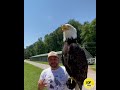 aves que parecen de otro planeta