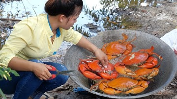 Catch and cook Mud Crab using Giant Pod - Coconut Stream Big Crab