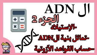 ملخص الوحدة البنيوية للADN?الجزء2/الإستيلاد/تماثل بنية الADN/حساب القواعد الآزوتية