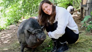 Tierparadies - Gerettete Tiere Besuchen