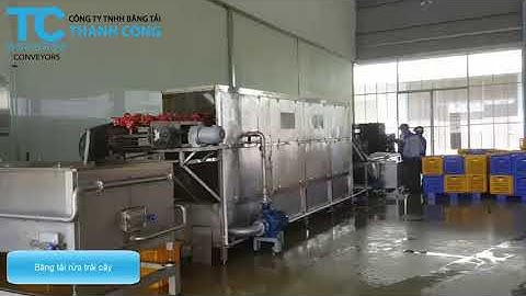 Băng tải rửa trái cây  - Thành Công