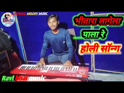 Bhitara lagela la barabhitra lagela pala re strumental musicravi Bhai ka music    