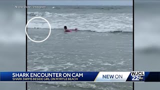 Girl has close encounter with shark at Myrtle Beach