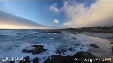 آيات من سورة البقرة _ القارئ علي وريث
