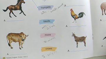 ENGLISH | STD-2 | LEC-3 | Primer UNIT-6 fun time peg-28 | SEM-2 | PATHAK SCHOOL-AMRELI