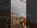amit carpente#reels #shortvideo