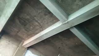Collome Plaster