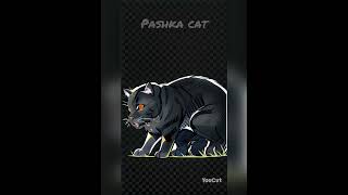 Pashka!# мультяшный# кот#